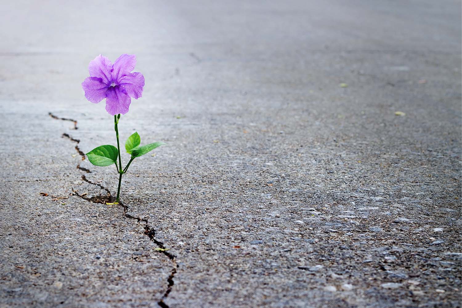 3 Examples of Supernatural Faith Copeland Ministries